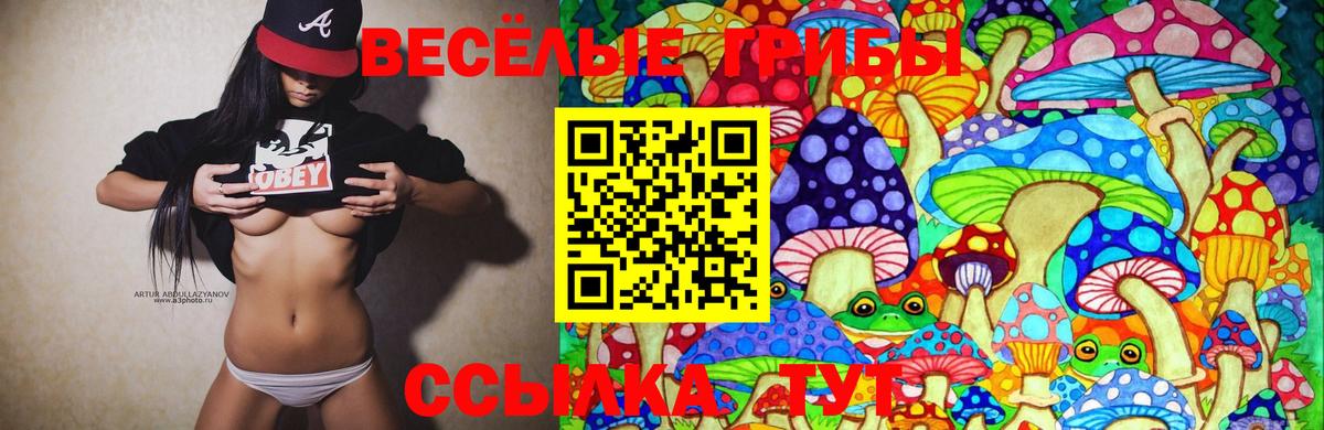 Псилоцибиновые грибы GOLDEN TEACHER  закладки  Псилоцибиновые грибы Cubensis  Майский  Вход с VPN 